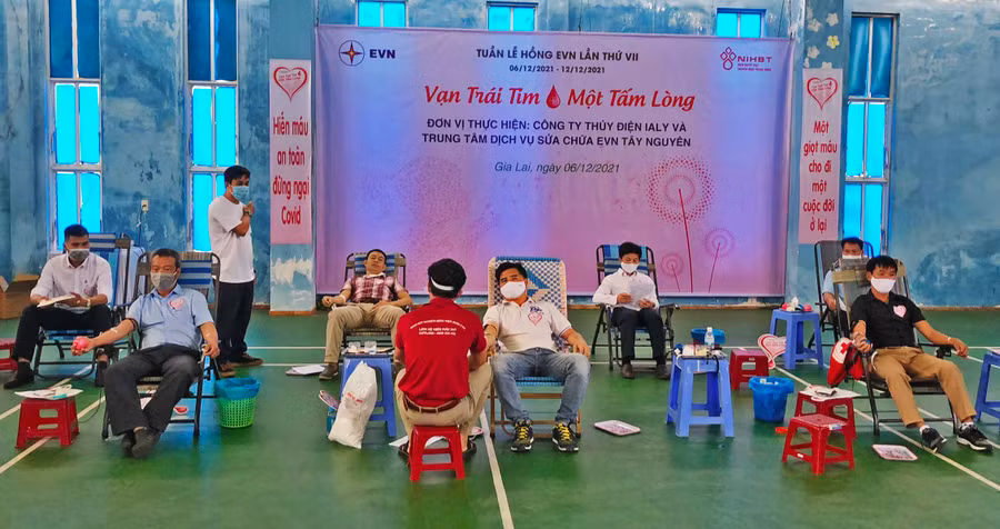 Hiến máu tình nguyện tại Công ty Thủy điện Ia Ly. Ảnh: Hồng Ngọc