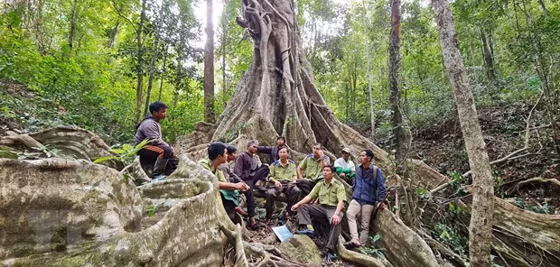 Lực lượng kiểm lâm, cán bộ, nhân viên vườn Quốc gia Kon Ka Kinh và người dân nhận khoán trao đổi phương án bảo vệ rừng. (Ảnh: Hồng Điệp/TTXVN)