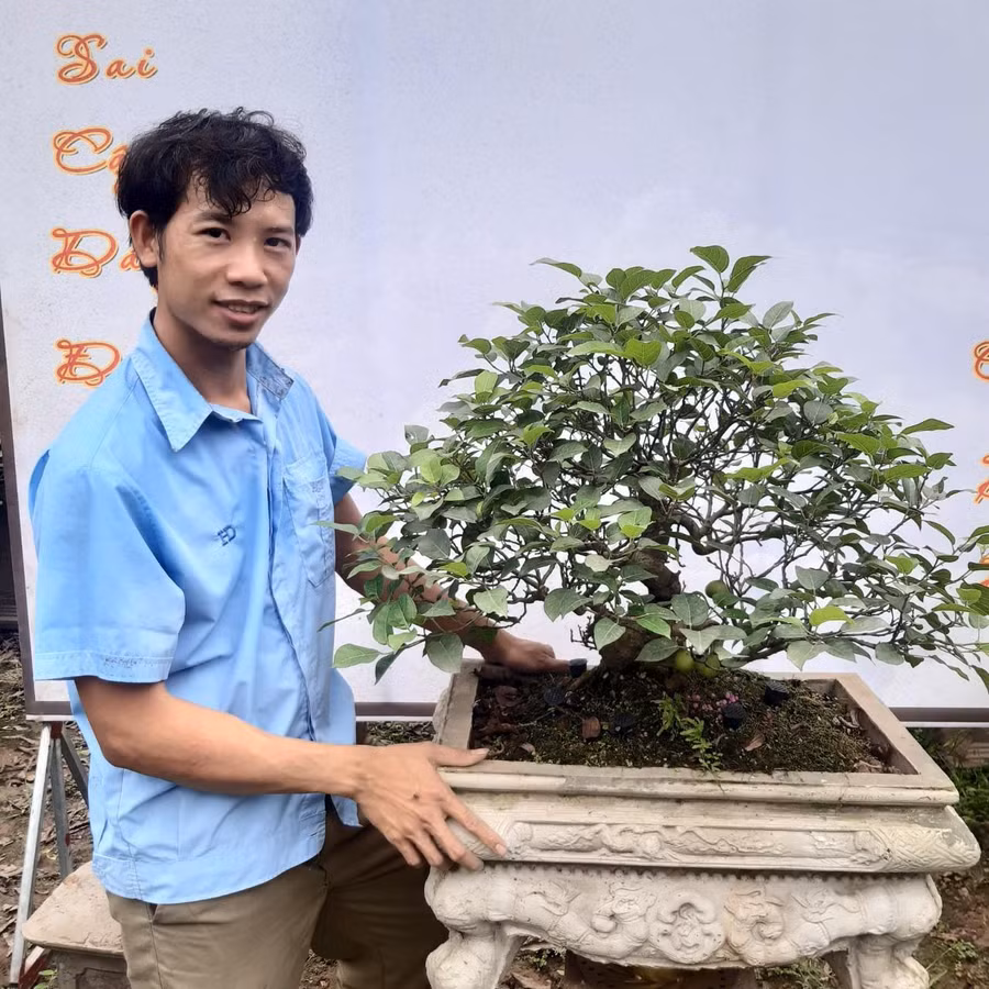 Ngoài làm công ty, anh Việt còn trồng kiểng sung