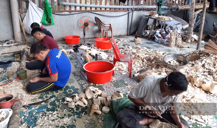 Hiện nay do ảnh hưởng của dịch Covid-19 ông H.V.C không đi 