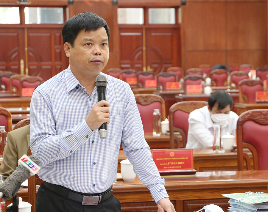 Giám đốc Sở Kế hoạch và Đầu tư Nguyễn Hữu Quế đề xuất một số giải pháp phát triển doanh nghiệp. Ảnh: Tấn Thi