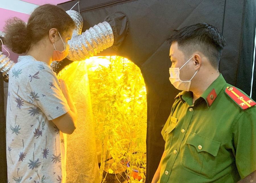 Đối tượng người nước ngoài bên trái đã bị công an bắt khi trồng cần sa trong phòng ngủ. Ảnh: Như Ý Đối tượng người nước ngoài bên trái đã bị công an bắt khi trồng cần sa trong phòng ngủ. Ảnh: Như Ý