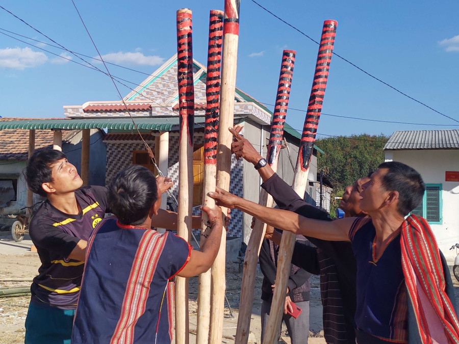 Dựng cây nêu trong lễ ăn trâu. Ảnh: TN