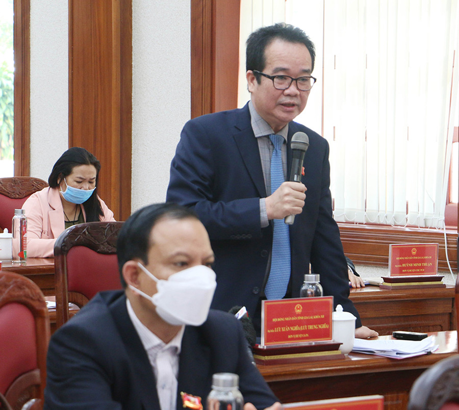 Giám đốc Sở Nông nghiệp và PTNT Lưu Trung Nghĩa nêu giải pháp phát triển cây ăn quả trong thời gian tới. Ảnh: Tấn Thi