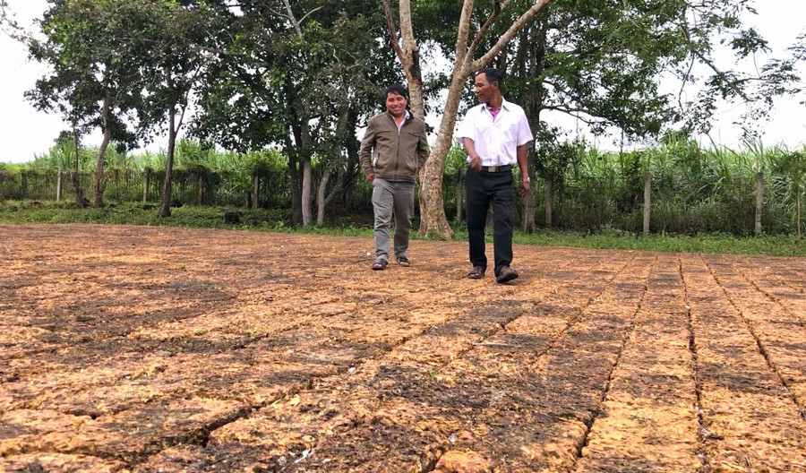 Nền nhà ông Nhạc thuộc Quần thể di tích lịch sử Tây Sơn Thượng đạo đã được tôn tạo bằng đá ong. Ảnh: Ngọc Minh