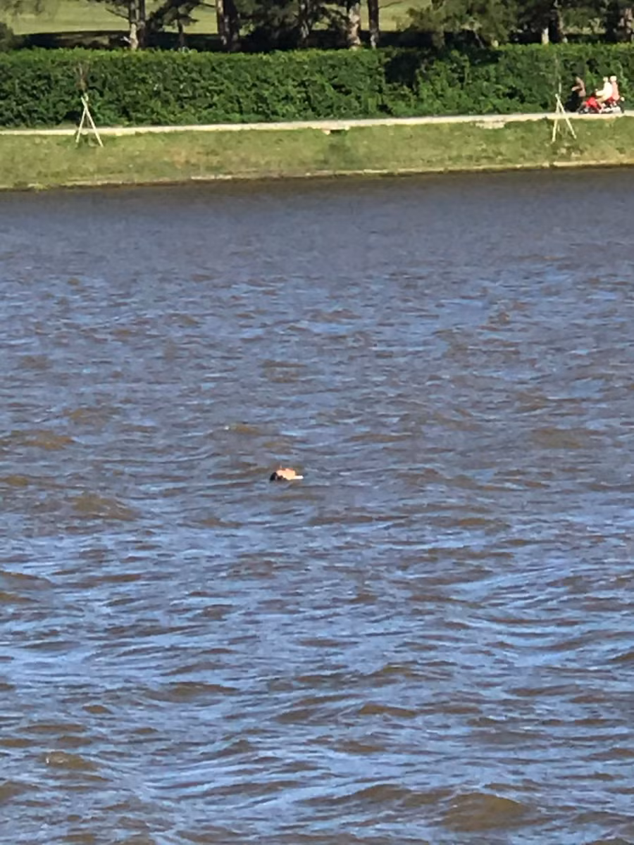 Chị M. chới với giữa hồ nước lạnh giá. Ảnh: Lâm Viên