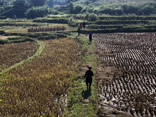 Các nghệ nhân và những người mê nghệ thuật hát sli của người Nùng cắt ruộng tìm đến nhà ông Nông Văn Hồ, thôn Thôm Chản, xã Xuân Dương, huyện Na Rì, tỉnh Bắc Kạn. Ảnh: Chiến Hoàng