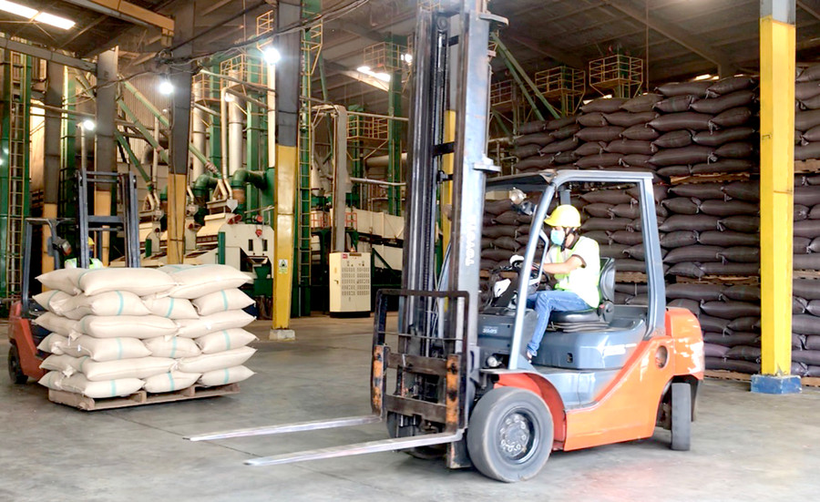 Kho hàng cà phê xuất khẩu của Công ty TNHH Vĩnh Hiệp (TP. Pleiku). Ảnh: Vũ Thảo