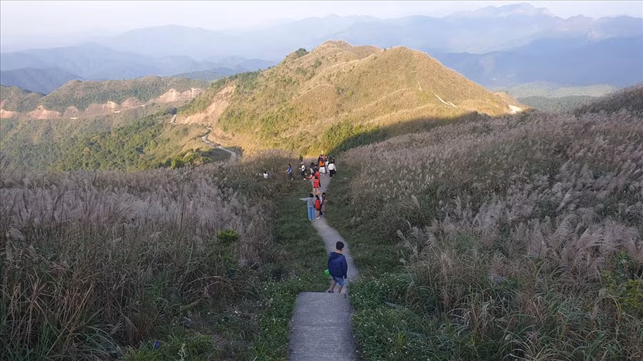 Bình Liêu đang vào mùa hoa lau trắng miền biên giới. Ảnh: Nguyễn Hùng