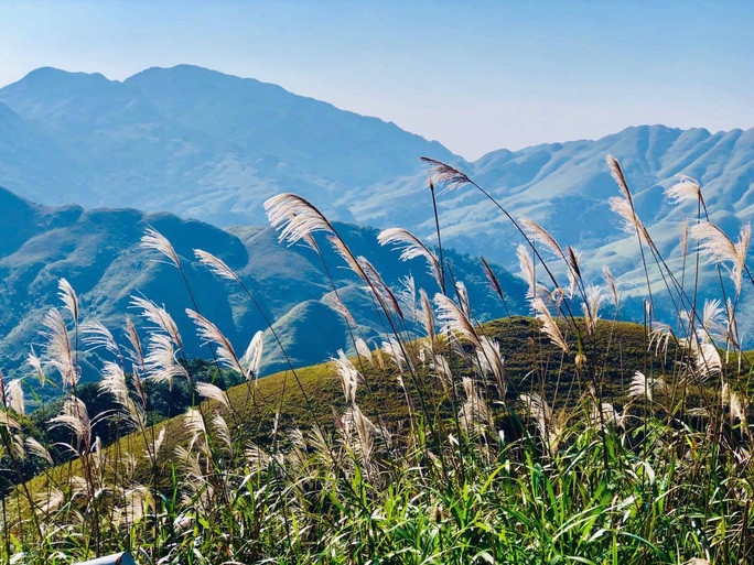 Bình Liêu (Quảng Ninh), điểm đến mới rất được yêu thích của du khách trẻ. Bình Liêu (Quảng Ninh), điểm đến mới rất được yêu thích của du khách trẻ.