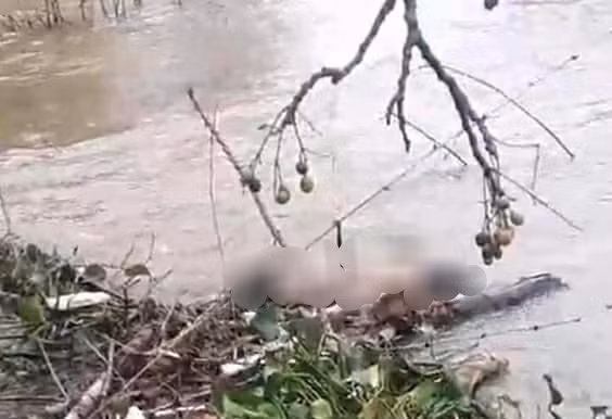 Hiện trường vụ việc.