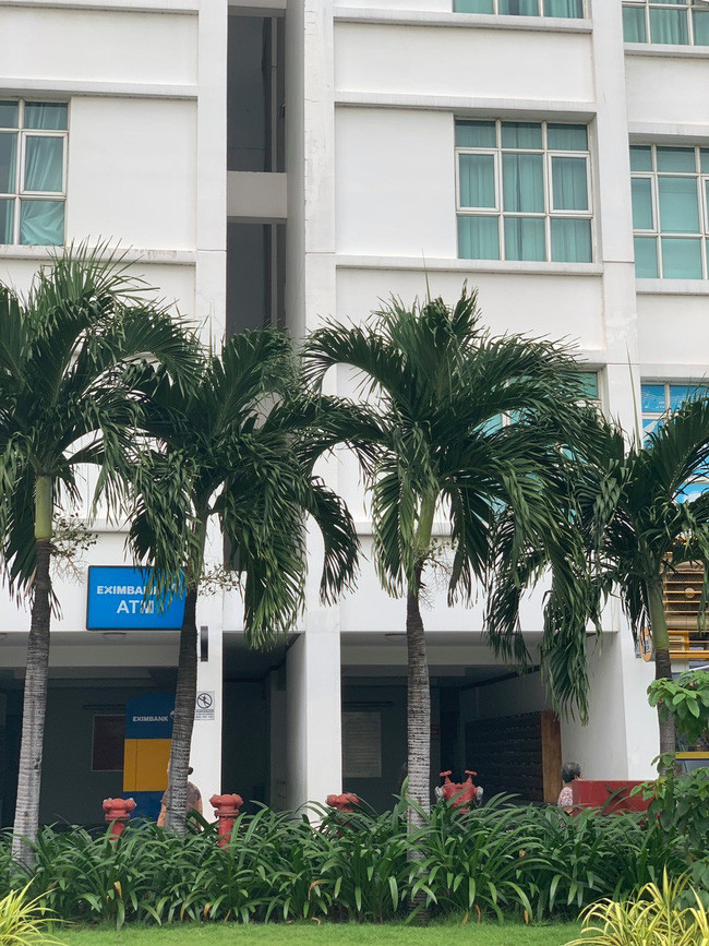  Chung cư nơi xảy ra vụ việc.