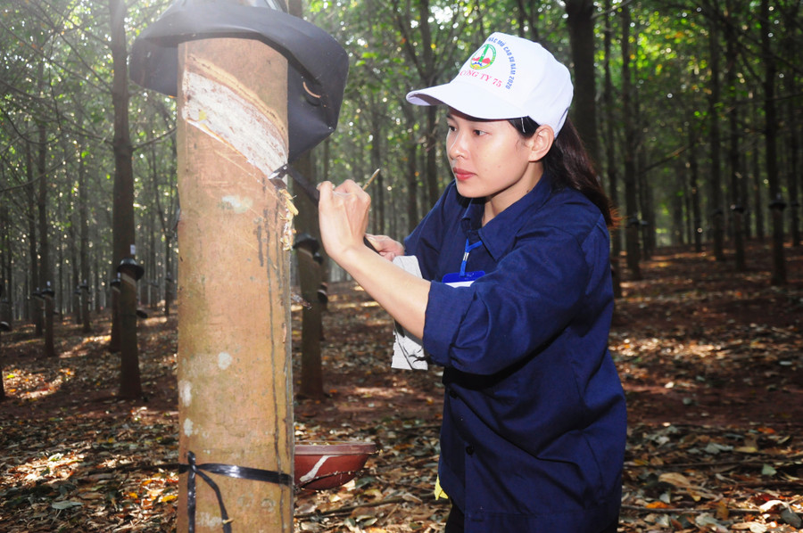  Nữ tuyển thủ thực hiện phần thi thực hành. Ảnh: Hoàng Hiền