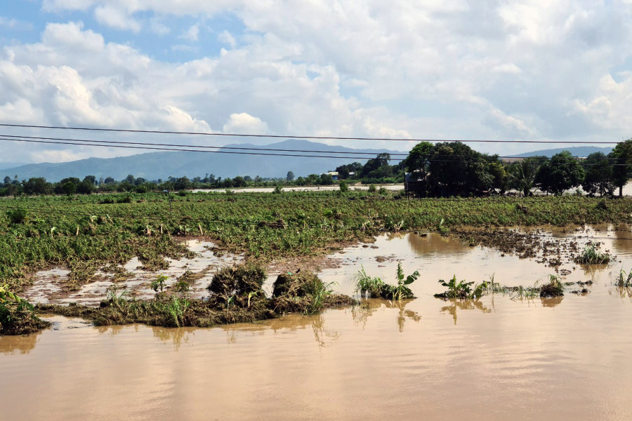 Nước lũ đã nhấn chìm toàn bộ hoa màu của người dân tổ 6 (phường Sông Bờ, thị xã Ayun Pa)