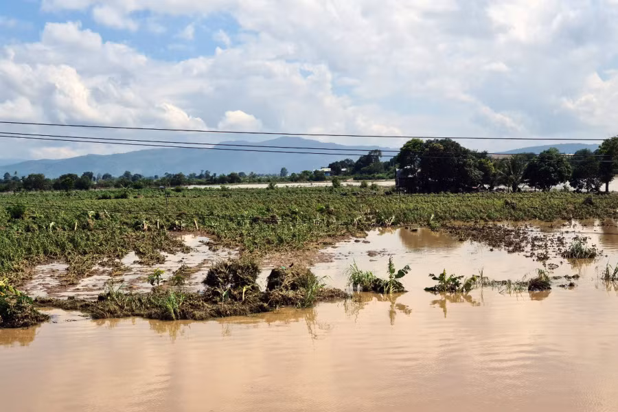 Nước lũ đã nhấn chìm toàn bộ hoa màu của người dân tổ 6 (phường Sông Bờ, thị xã Ayun Pa)