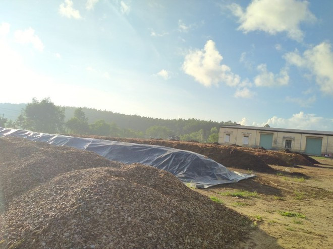 Phế phẩm nông nghiệp đang trong quá trình xử lý tại nhà máy để sản xuất đất trồng cây. ẢNH: HỒNG ĐĂNG Phế phẩm nông nghiệp đang trong quá trình xử lý tại nhà máy để sản xuất đất trồng cây. ẢNH: HỒNG ĐĂNG