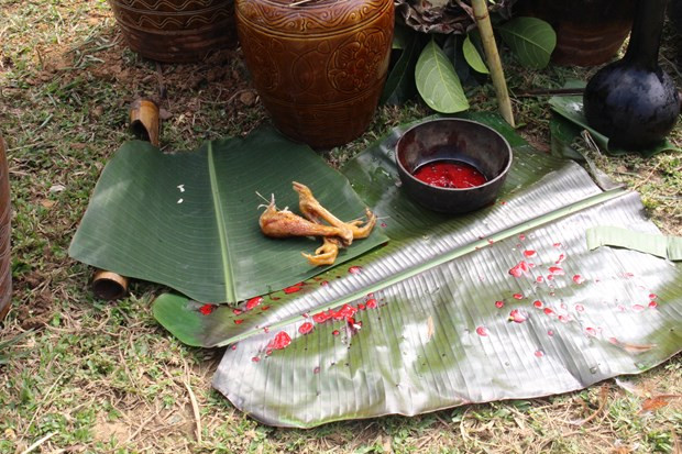  (Ảnh: Minh Anh/Vietnam+)