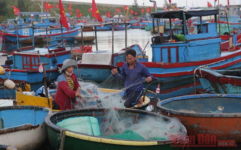 Ngư dân trên đảo Lý Sơn sẵn sàng ra khơi đánh bắt hải sản. Ngư dân trên đảo Lý Sơn sẵn sàng ra khơi đánh bắt hải sản.