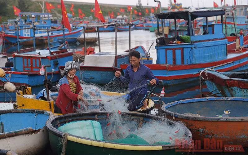  Ngư dân trên đảo Lý Sơn sẵn sàng ra khơi đánh bắt hải sản.