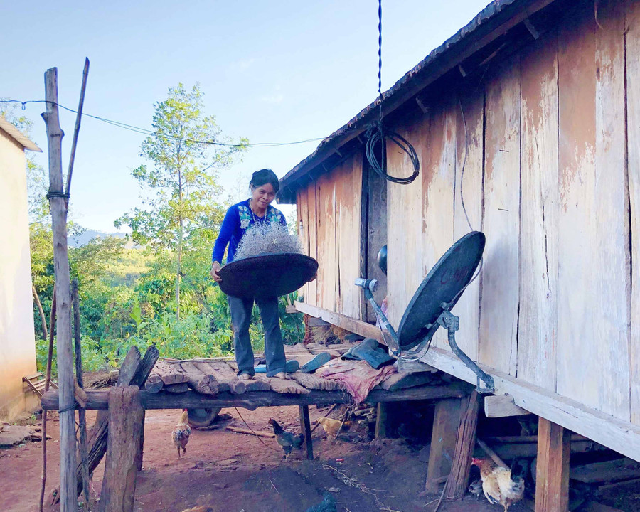 Bà Hyơih (làng Tul Đoa, xã Đak Sơ Mei, huyện Đak Đoa) sẩy nếp nương trước khi cất trữ. Ảnh: Lê Hòa
