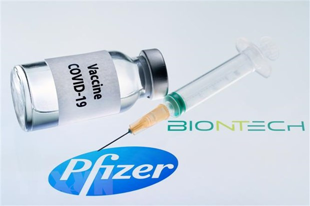 Hình ảnh mô phỏng vắcxin ngừa COVID-19 do hãng dược phẩm Pfizer (Mỹ) và BioNTech (Đức) phối hợp sản xuất. (Ảnh: AFP/TTXVN)