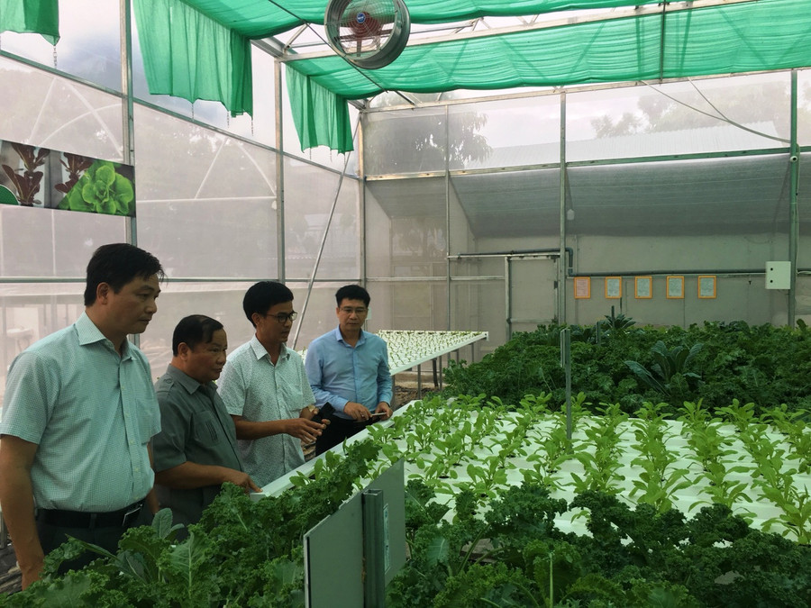 Đoàn thăm quan mô hình làm rau thủy canh trong nhà kính sạch tại xã Cam Hải Tây, huyện Cam Lâm, tỉnh Khánh Hòa. Đoàn thăm quan mô hình làm rau thủy canh trong nhà kính sạch tại xã Cam Hải Tây, huyện Cam Lâm, tỉnh Khánh Hòa.