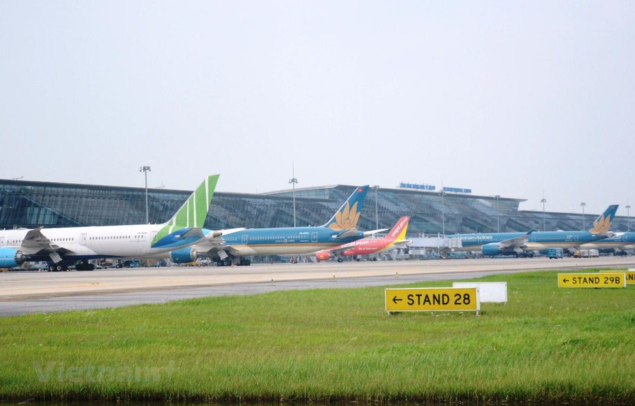 Máy bay của các hãng hàng không tại một sân bay. (Ảnh: Việt Hùng/Vietnam+)