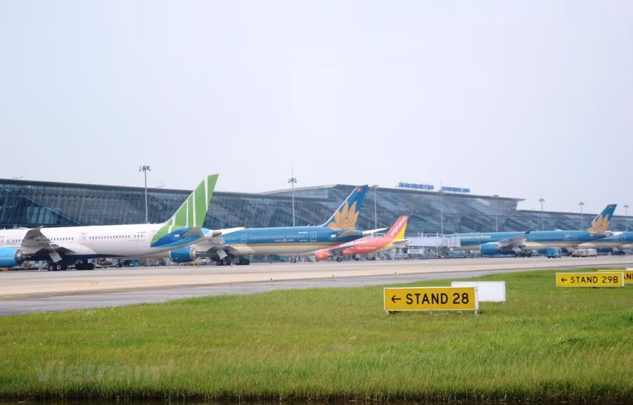 Máy bay của các hãng hàng không tại một sân bay. (Ảnh: Việt Hùng/Vietnam+)