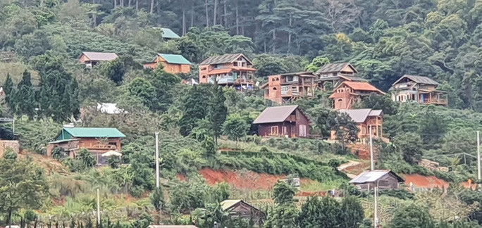 Xây dựng hơn 50 biệt thự trên đất rừng thông nhưng chính quyền địa phương không biết ai là chủ đầu tư. Ảnh: ĐÌNH THI