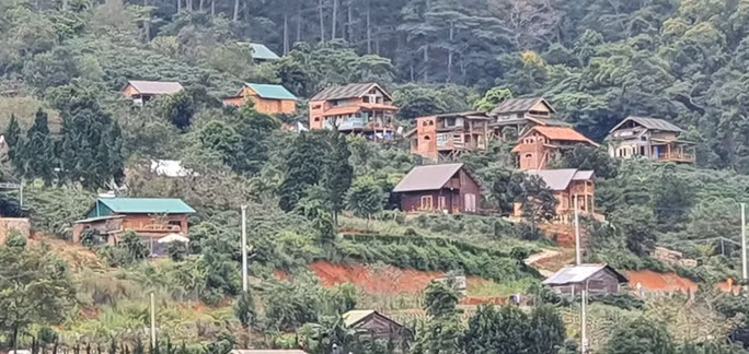 Xây dựng hơn 50 biệt thự trên đất rừng thông nhưng chính quyền địa phương không biết ai là chủ đầu tư. Ảnh: ĐÌNH THI