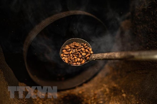 Hạt càphê được chế biến tại xưởng Antong ở Taiping, Malaysia. (Ảnh: AFP/TTXVN)