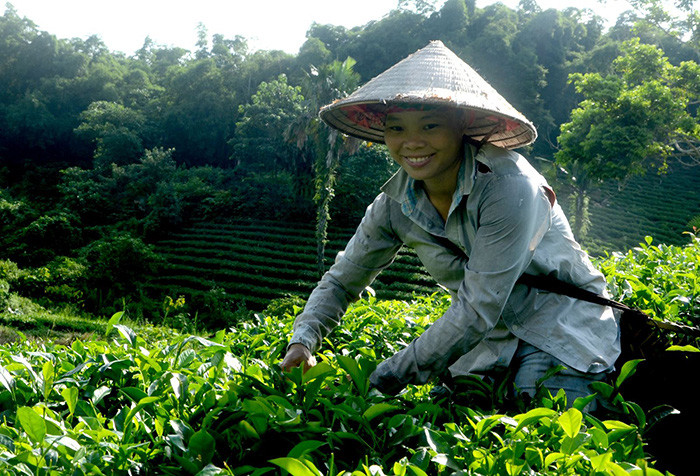 Nâng cao thu nhập, cải thiện đời sống cho người dân là mục tiêu quan trọng Nâng cao thu nhập, cải thiện đời sống cho người dân là mục tiêu quan trọng