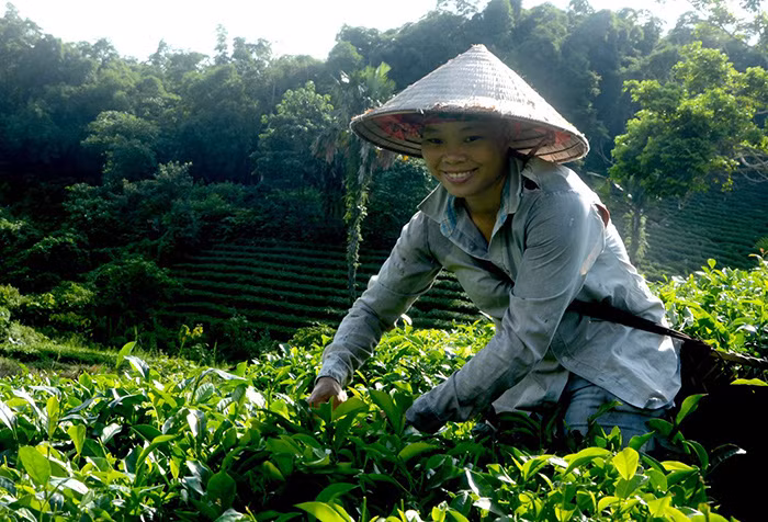  Nâng cao thu nhập, cải thiện đời sống cho người dân là mục tiêu quan trọng