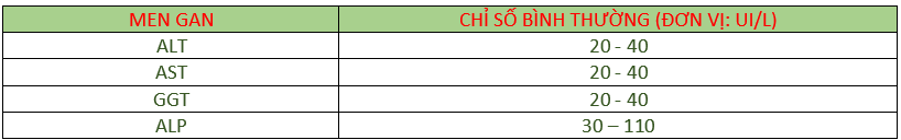 Chỉ số men gan ở mức bình thường. Ảnh: Hồng Nhật Chỉ số men gan ở mức bình thường. Ảnh: Hồng Nhật