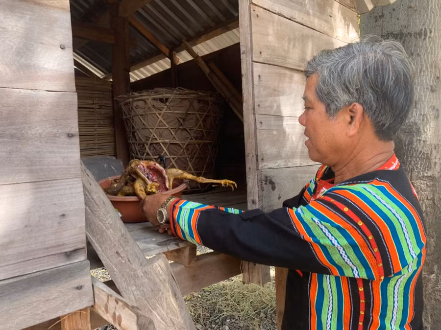 Già làng vừa khấn vừa mang lễ vật về kho để rước hồn lúa về chòi.