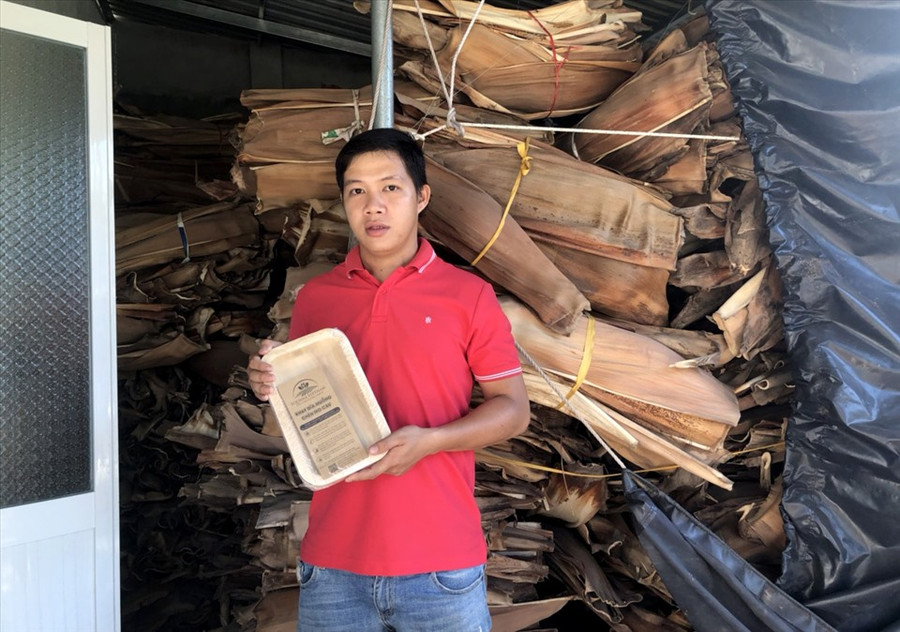 Tịnh cũng nhận thấy trên địa bàn thị xã Hoài Nhơn nói riêng và tỉnh Bình Định nói chung, có nguồn mo cau khá đa dạng, dồi dào. Thế nhưng, đối với nhiều người, mo cau là phế phẩm nông nghiệp nên người dân thường đốt bỏ chứ không sử dụng. Ảnh: S.T Tịnh cũng nhận thấy trên địa bàn thị xã Hoài Nhơn nói riêng và tỉnh Bình Định nói chung, có nguồn mo cau khá đa dạng, dồi dào. Thế nhưng, đối với nhiều người, mo cau là phế phẩm nông nghiệp nên người dân thường đốt bỏ chứ không sử dụng. Ảnh: S.T