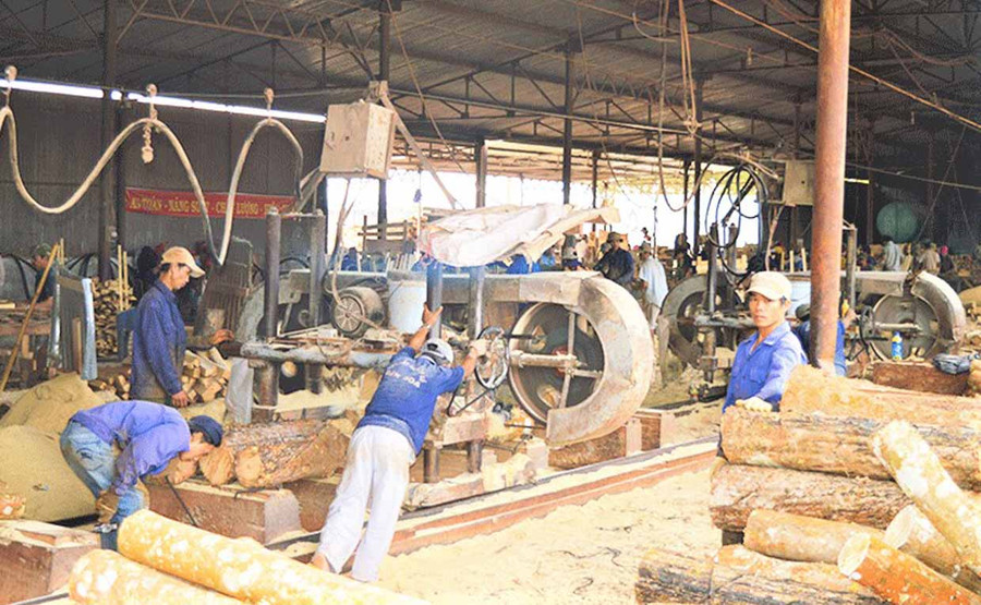 Lao động làm việc tại Nhà máy chế biến gỗ Đak Đoa thực hiện nghiêm nội quy an toàn lao động. Ảnh: Đinh Yến