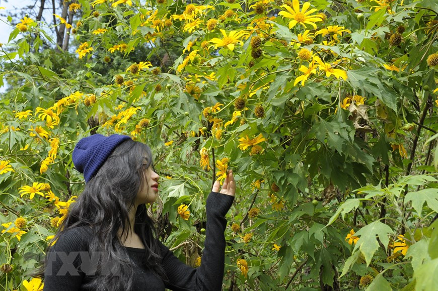 Dịch vụ dù lượn khinh khí cầu được đưa vào khai thác tại Vườn Quốc gia Ba Vì. (Ảnh: Mạnh Khánh/TTXVN)