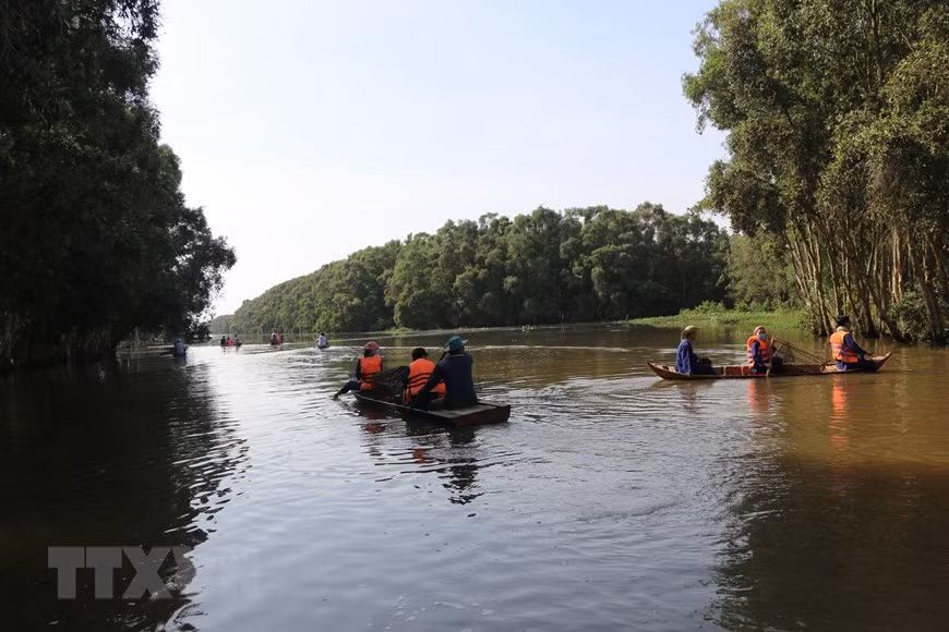 Khách du lịch bơi xuồng trải nghiệm một ngày làm ngư dân tai khu C4 - vườn Quốc gia Tràm Chim, huyện Tam Nông, Đồng Tháp. (Ảnh: Chương Đài/TTXVN)
