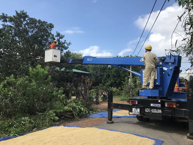 Phát quang đường dây