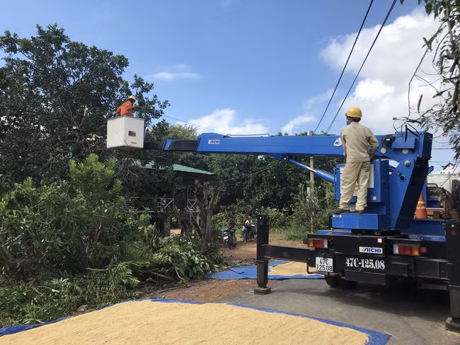 Phát quang đường dây