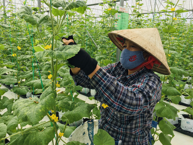  Nông dân góp ý vào Dự thảo Văn kiện trình Đại hội XIII.