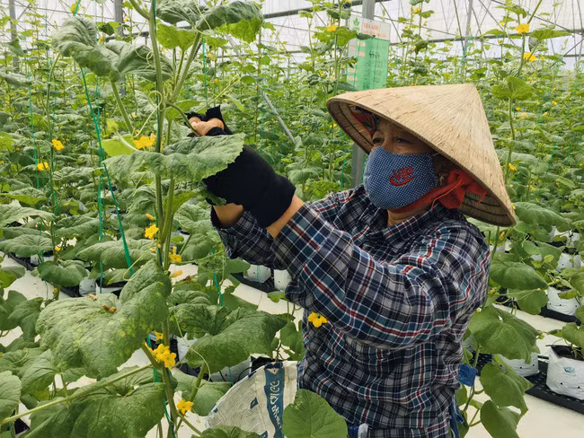  Nông dân góp ý vào Dự thảo Văn kiện trình Đại hội XIII.