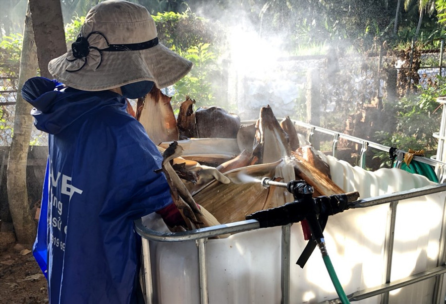 Nguyên liệu mo cau để làm ra các sản phẩm phải đạt yêu cầu không mốc, không rách. Ngày trước, mo cau kích cỡ lớn nhỏ gì Tịnh cũng mua, nhưng bây giờ, khi sản xuất thương mại, mo cau có bề rộng trên 20cm trở lên mới có giá trị kinh tế hơn. Ảnh: S.T Nguyên liệu mo cau để làm ra các sản phẩm phải đạt yêu cầu không mốc, không rách. Ngày trước, mo cau kích cỡ lớn nhỏ gì Tịnh cũng mua, nhưng bây giờ, khi sản xuất thương mại, mo cau có bề rộng trên 20cm trở lên mới có giá trị kinh tế hơn. Ảnh: S.T