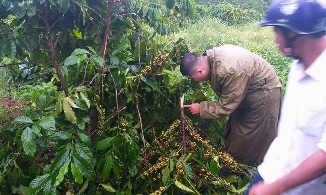 Công an khám nghiệm hiện trường phục vụ công tác điều tra, truy tìm thủ phạm. ẢNH: TRÙNG DƯƠNG