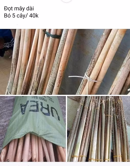 Đọt mây được rao bán trên chợ online với giá 40.000 đồng/bó 5 đọt.