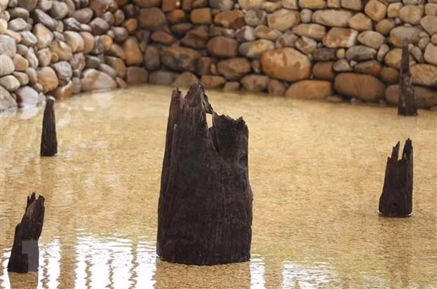 Các cọc có nhiều kích thước, loại nhỏ từ 10-18cm, loại lớn từ 28-32cm, có cọc đường kính từ 37-40cm; chủ yếu làm bằng gỗ sến nhựa và lim. (Ảnh: Thống Nhất/TTXVN)