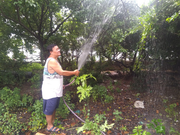 Ông Văn Quang tưới vườn ngâu hiếm hoi mình còn giữ lại - Ảnh: THỦY TIÊN Ông Văn Quang tưới vườn ngâu hiếm hoi mình còn giữ lại - Ảnh: THỦY TIÊN