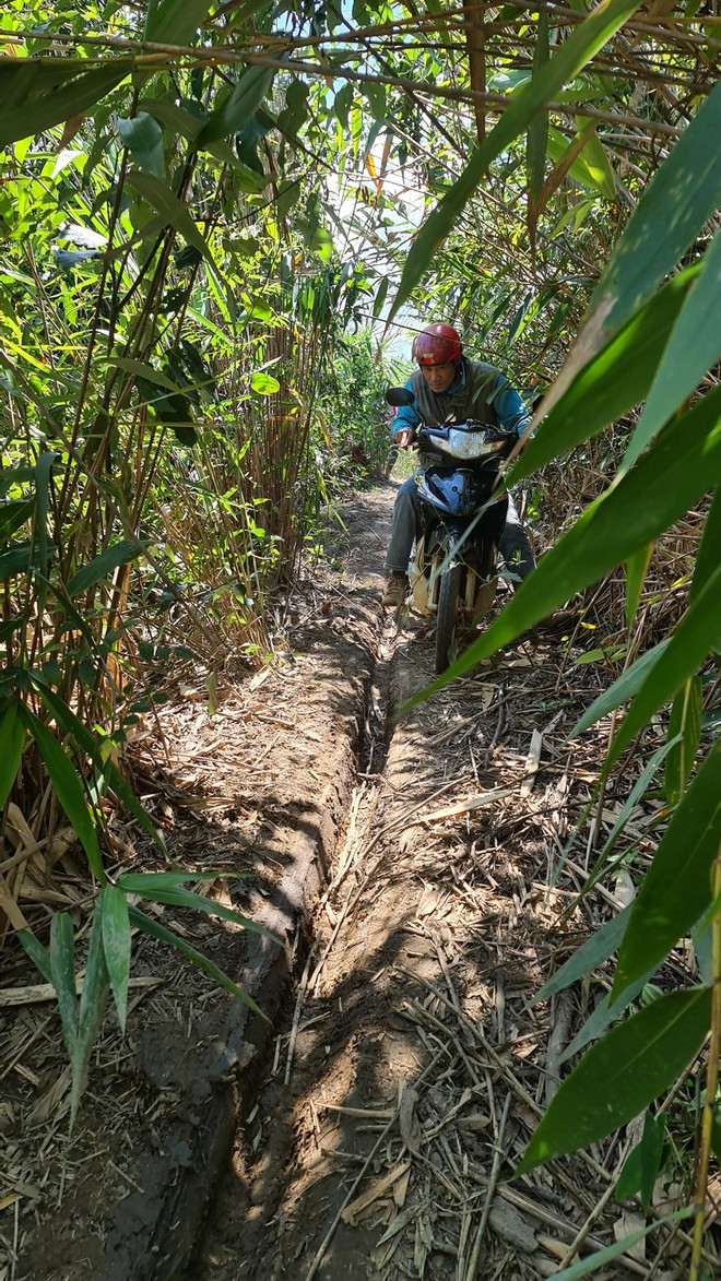 Đường mòn độc đạo hơn 3km vận chuyển gỗ từ rừng ra xã Phúc Thọ bán (trong hình là một người đang đi làm nhiệm vụ) ẢNH: LÂM VIÊN