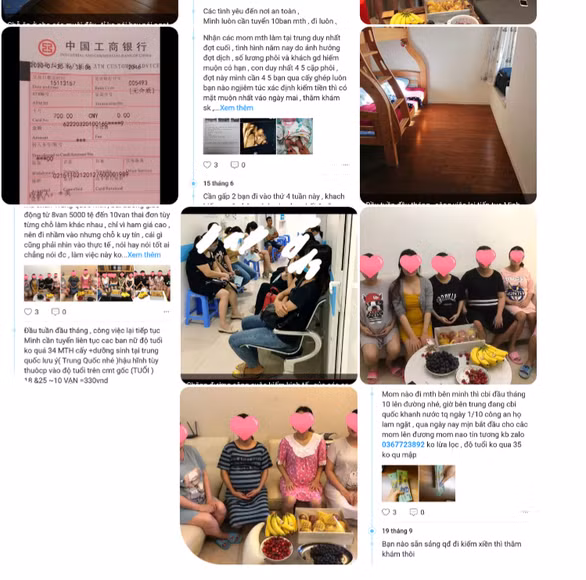 Một trang công khai tuyển phụ nữ đi Trung Quốc mang thai thuê - Ảnh: Tâm Lê chụp màn hình
